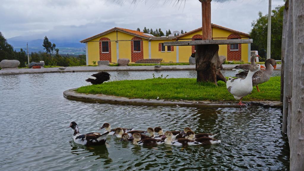 La Quinta Colorada Hotel Lasso Bagian luar foto